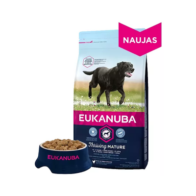 Eukanuba Large Mature (vištiena) 15kg