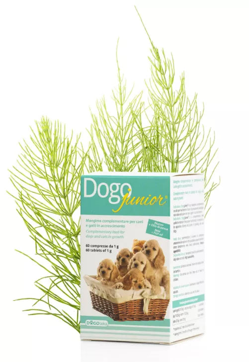 DOGOTEKA DOGOjunior 60 tabl.