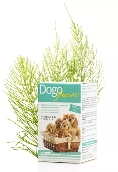 DOGOTEKA DOGOjunior 60 tabl.
