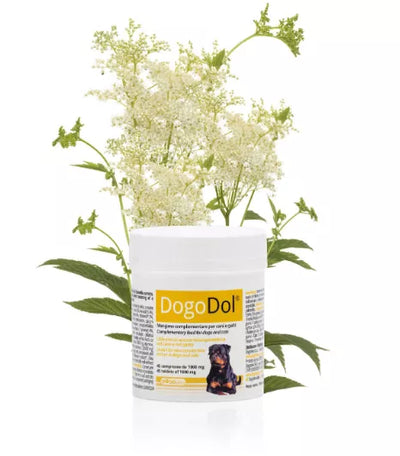 DOGOTEKA DOGOdol 45 tabl.