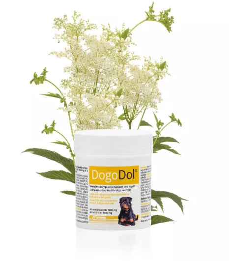 DOGOTEKA DOGOdol 45 tabl.