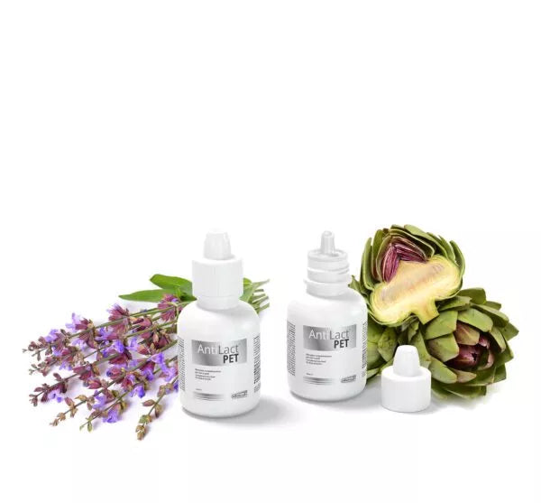 DOGOTEKA AntiLact Pet 50ml
