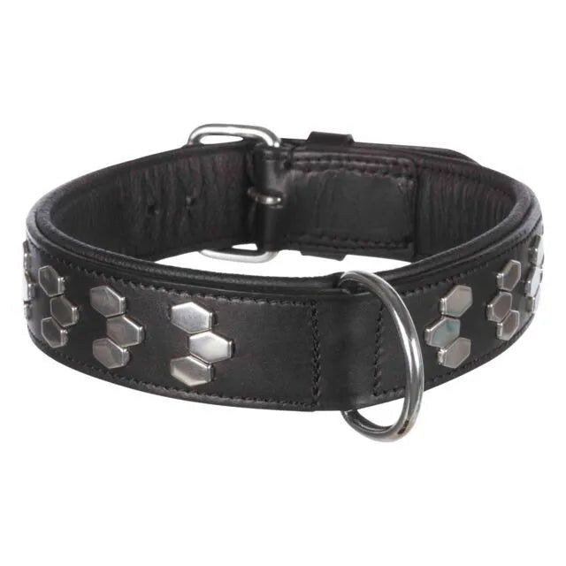 Trixie Active antkaklis su met. apdaila, oda M 38-45cm/40mm, juodas