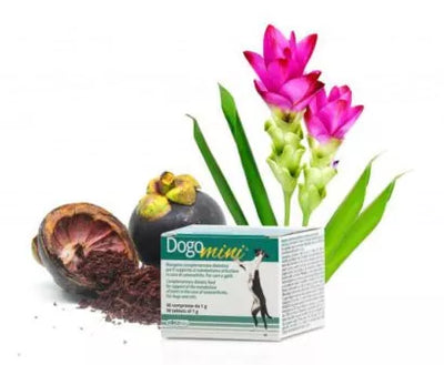 DOGOTEKA DOGOmini 30 tabl.