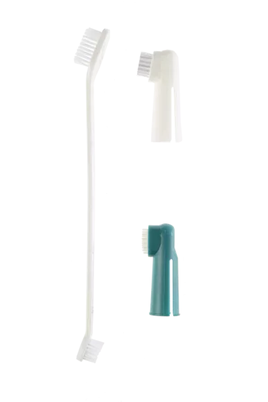 Gimdog Tooth Brushes Set šunų dantų šepetėlių rink.